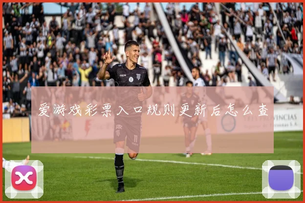 爱游戏彩票入口规则更新后怎么查