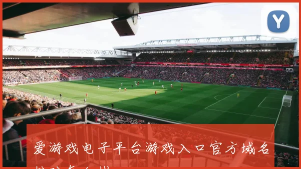 爱游戏电子平台游戏入口官方域名核对怎么找