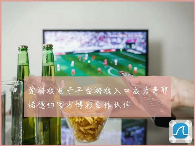 爱游戏电子平台游戏入口成为费耶诺德的官方博彩合作伙伴