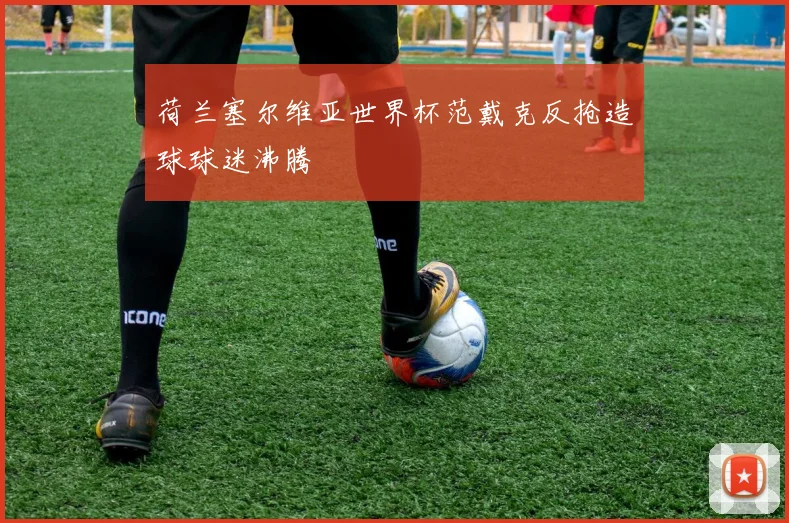 荷兰塞尔维亚世界杯范戴克反抢造球球迷沸腾