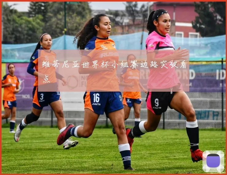 维蒂尼亚世界杯小组赛边路突破看点