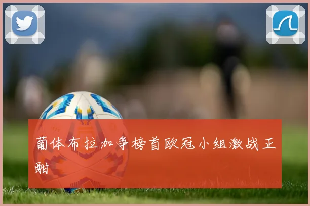 葡体布拉加争榜首欧冠小组激战正酣