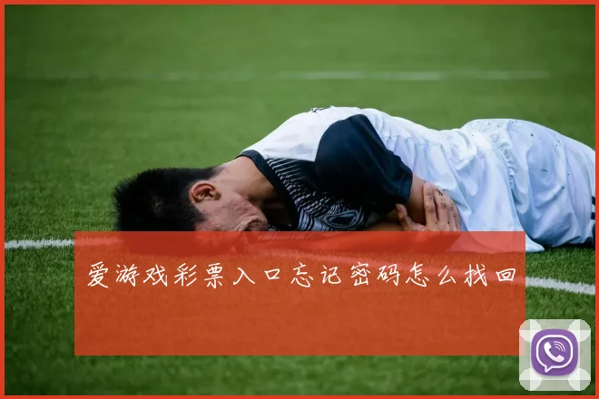 爱游戏彩票入口忘记密码怎么找回