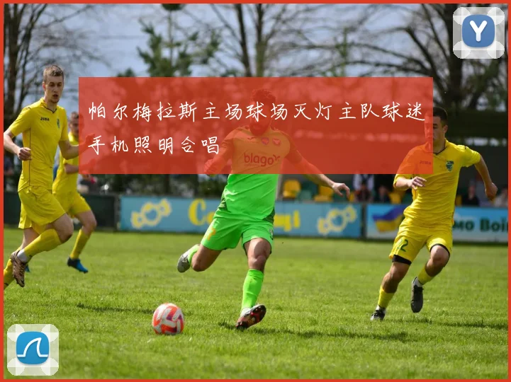 帕尔梅拉斯主场球场灭灯主队球迷手机照明合唱